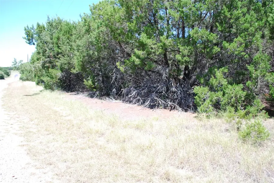 8183 Cedar Crest Drive, Whitney, TX 76692 - #3