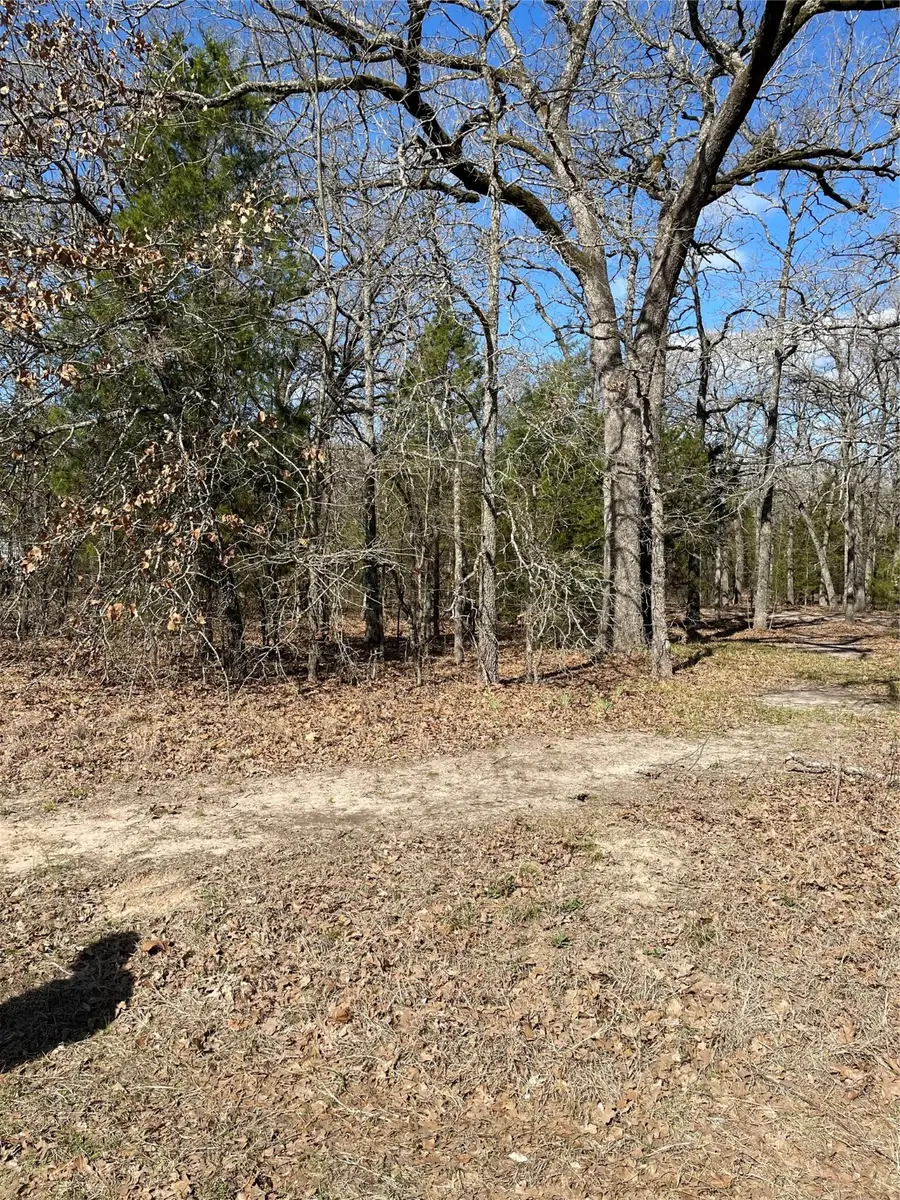 0 Double Bridge Road, Mabank, TX 75156 - Image #2