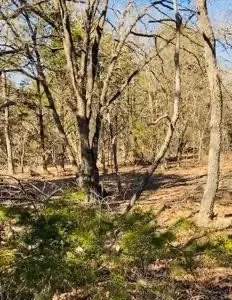 8000 County Road 301, Terrell, TX 75160 - Image #1