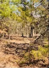 8000 County Road 301, Terrell, TX 75160 - Image #3