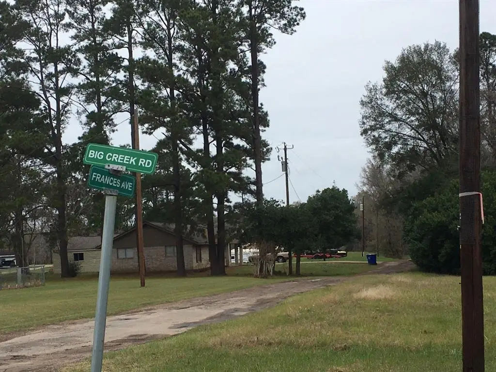 TBD Big Creek, Shepherd, TX 77371 - Image #1
