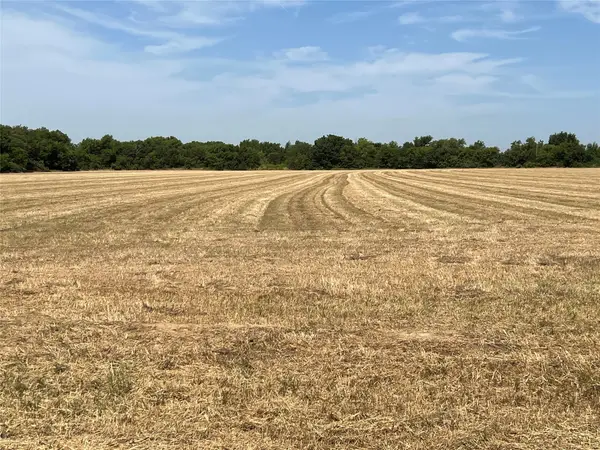Lot 4 Rodgers Road, Sadler, TX 76264