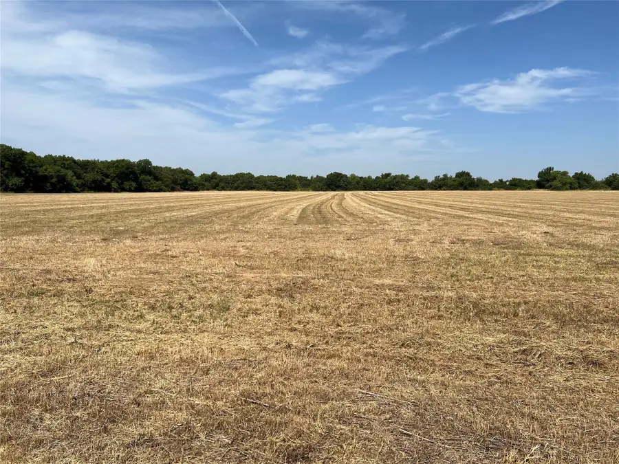 Lot 4 Rodgers Road, Sadler, TX 76264 - Image #3
