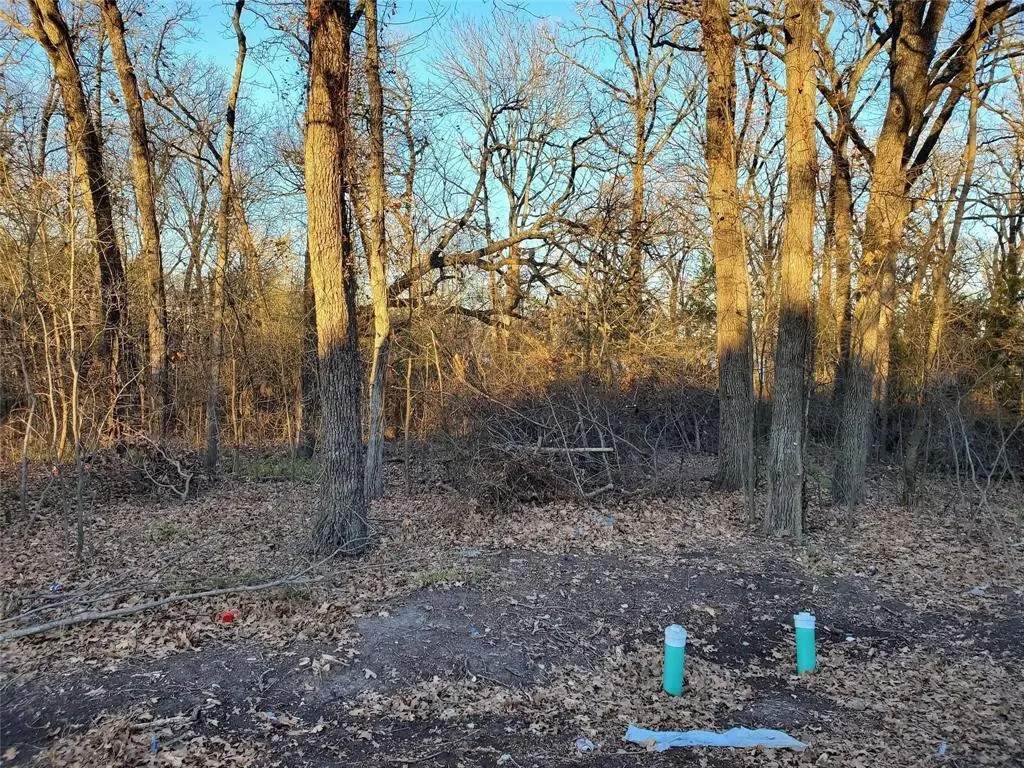 tbd Hillside Drive, West Tawakoni, TX 75474 - Image #1