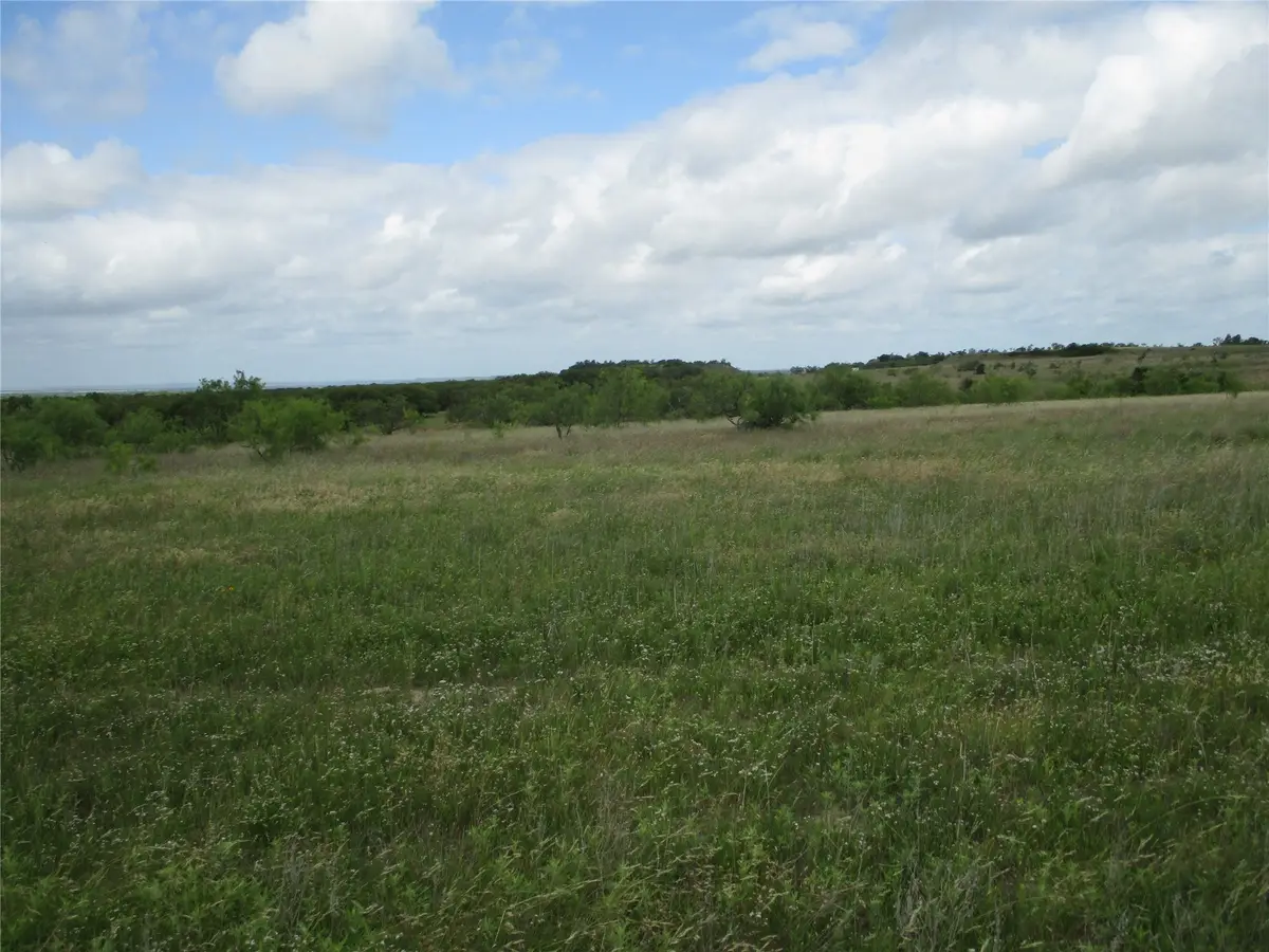 13 AC Elenburg Rd, Perrin, TX 76486 - Image #1