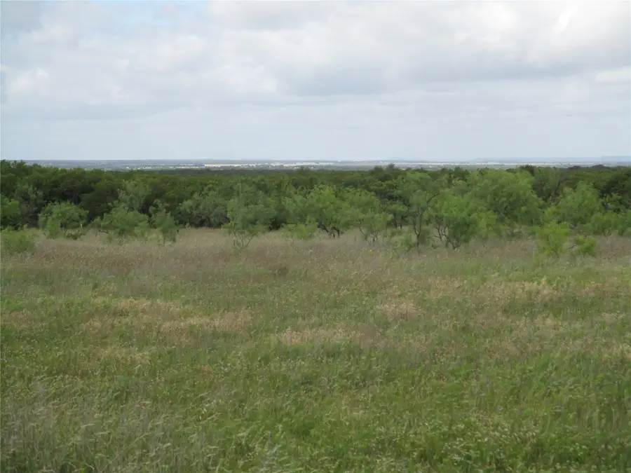 13 AC Elenburg Rd, Perrin, TX 76486 - Image #2