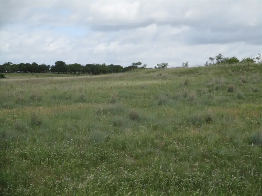 13 AC Elenburg Rd, Perrin, TX 76486 - Image #3