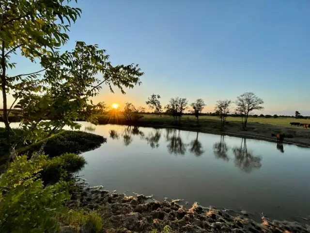 TBD Cr 358, Gause, TX 77857 - Image #1