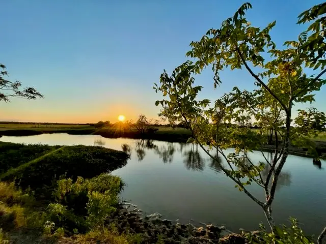 TBD Cr 358, Gause, TX 77857 - Image #2