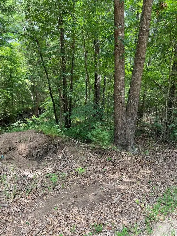 00 Cr 4131, Mount Vernon, TX 75457 - Image #3