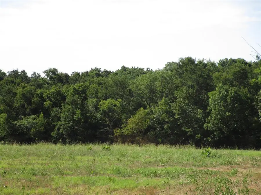 TBD County Rd 1082, Celeste, TX 75423 - Image #2