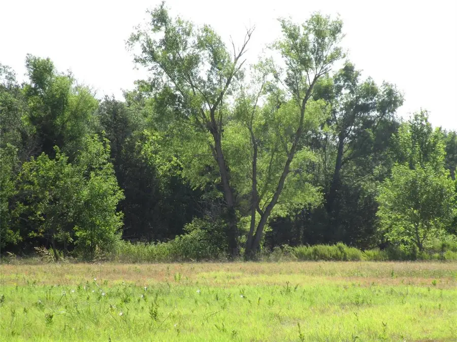 TBD County Rd 1082, Celeste, TX 75423 - Image #3