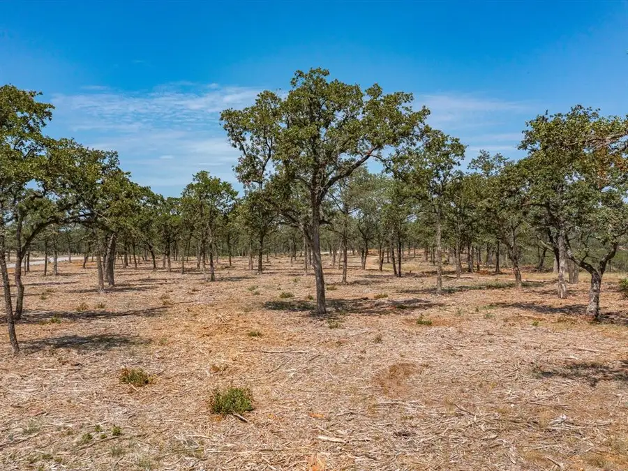 Lot 9 Choate, Bowie, TX 76230 - Image #3