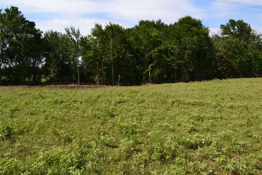 TBD County Rd 2244 Road, Quinlan, TX 75474 - Image #3