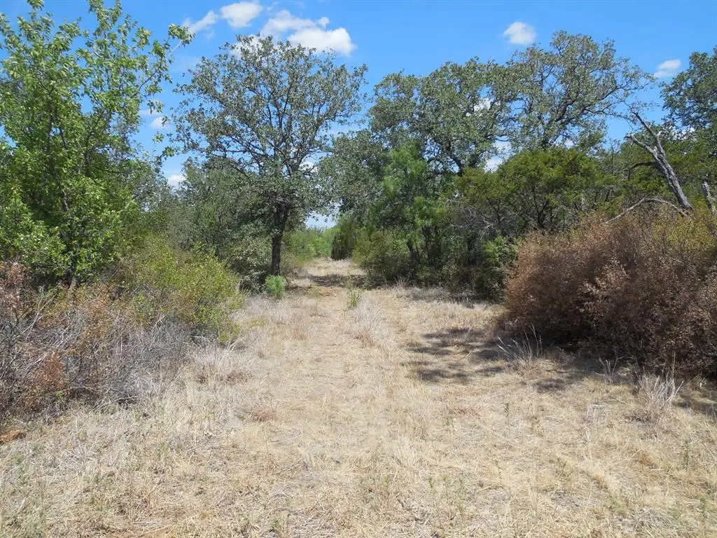 TBD 10 Acres Cr 136, Ranger, TX 76470 - Image #1