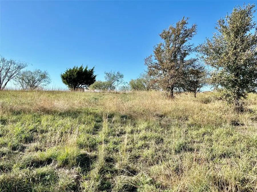 2040 Hidden Bluff Drive, Aledo, TX 76008 - Image #3