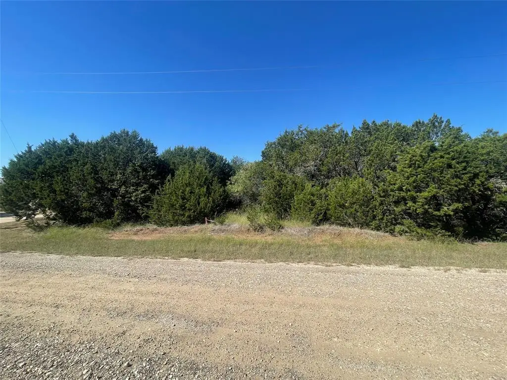 12095 Shady Creek Drive, Whitney, TX 76692 - #1