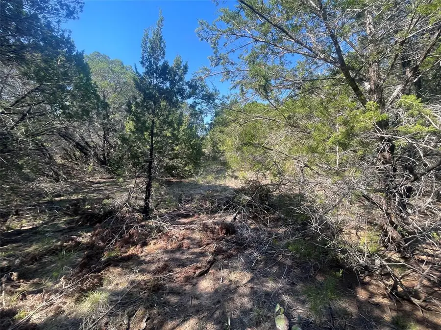 12095 Shady Creek Drive, Whitney, TX 76692 - #2