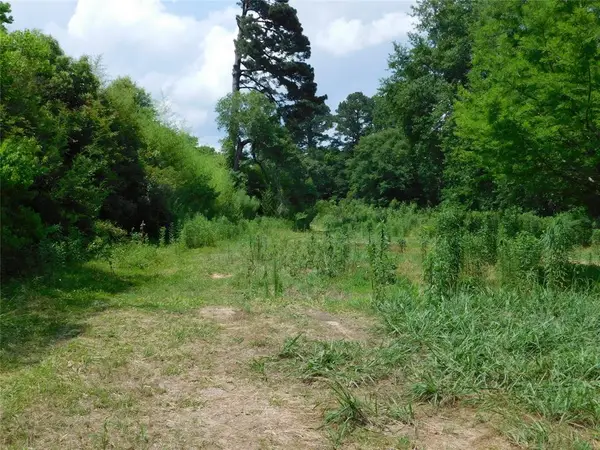 0 Hwy 80, Haughton, LA 71037