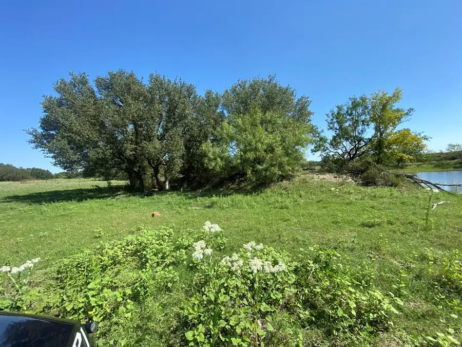 TBD State Highway 16 S, Goldthwaite, TX 76844 - Image #3