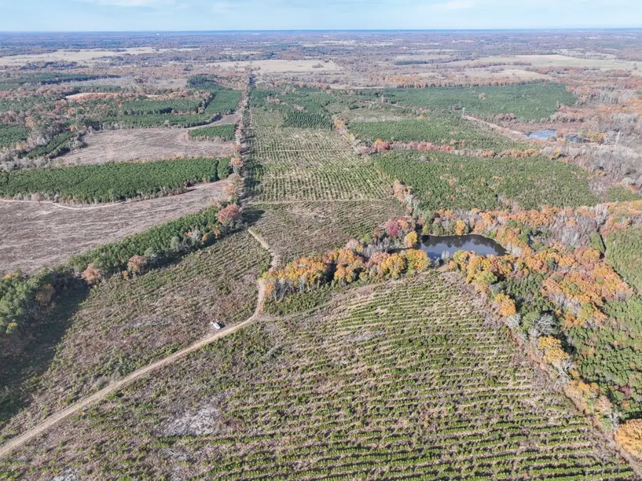 0 Cr 3201, Daingerfield, TX 75638 - Image #3