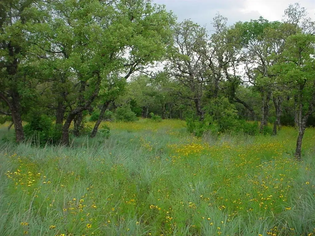 6H Stagecoach Trail, Gordon, TX 76453 - Image #1