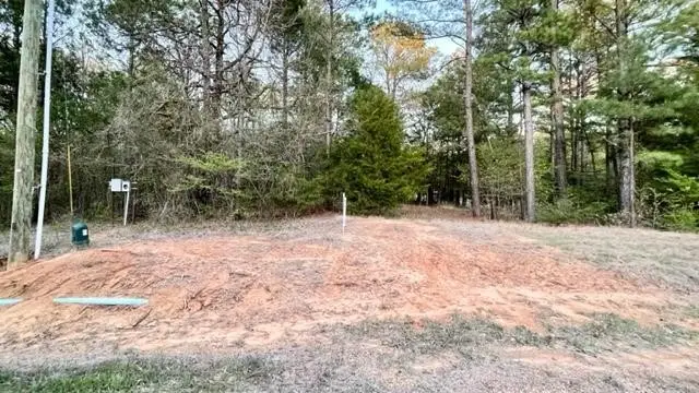 Lot 148 Navasota, Mount Vernon, TX 75457 - Image #1