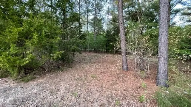 Lot 148 Navasota, Mount Vernon, TX 75457 - Image #2