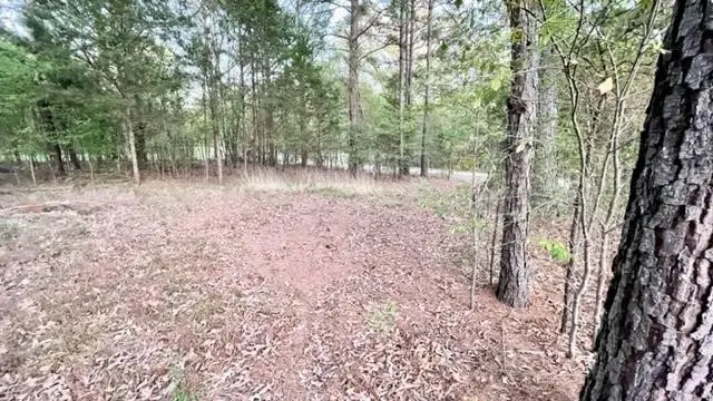 Lot 149 Navasota, Mount Vernon, TX 75457 - Image #2