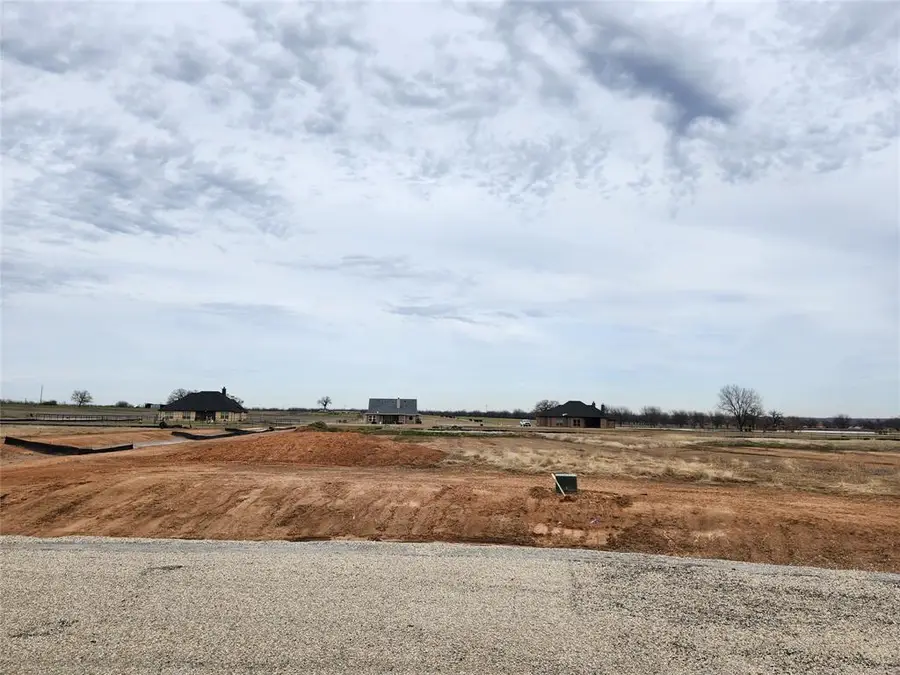 151 Lonicera Lane, Paradise, TX 76073 - Image #3