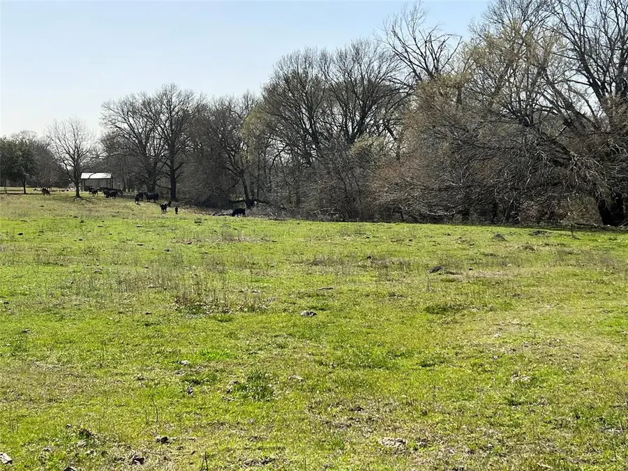 2.9ac Lewis, Crandall, TX 75114 - Image #2