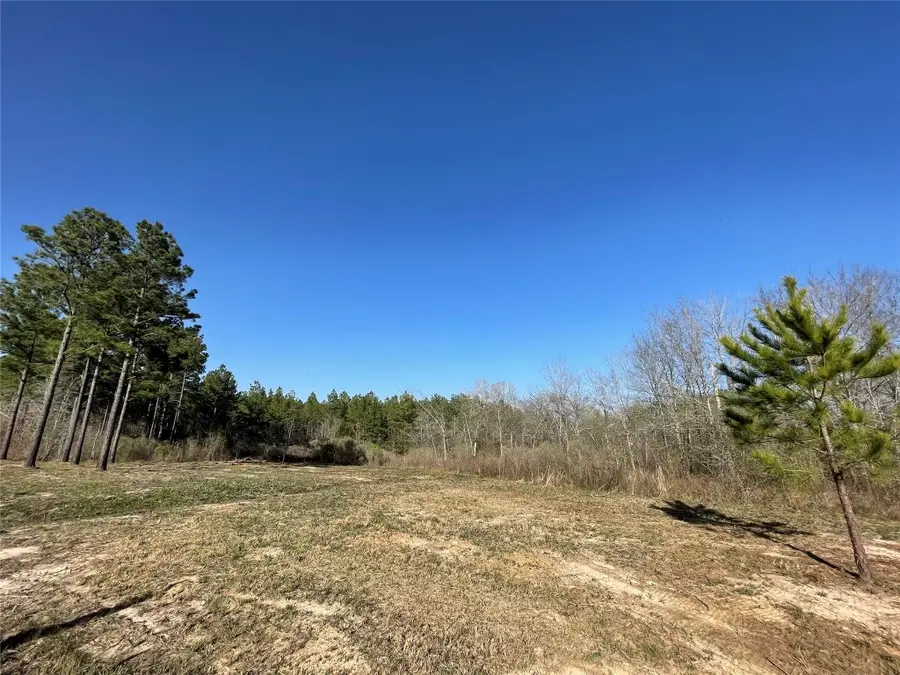 - Louisiana 157 Highway, Benton, LA 71006 - Image #2