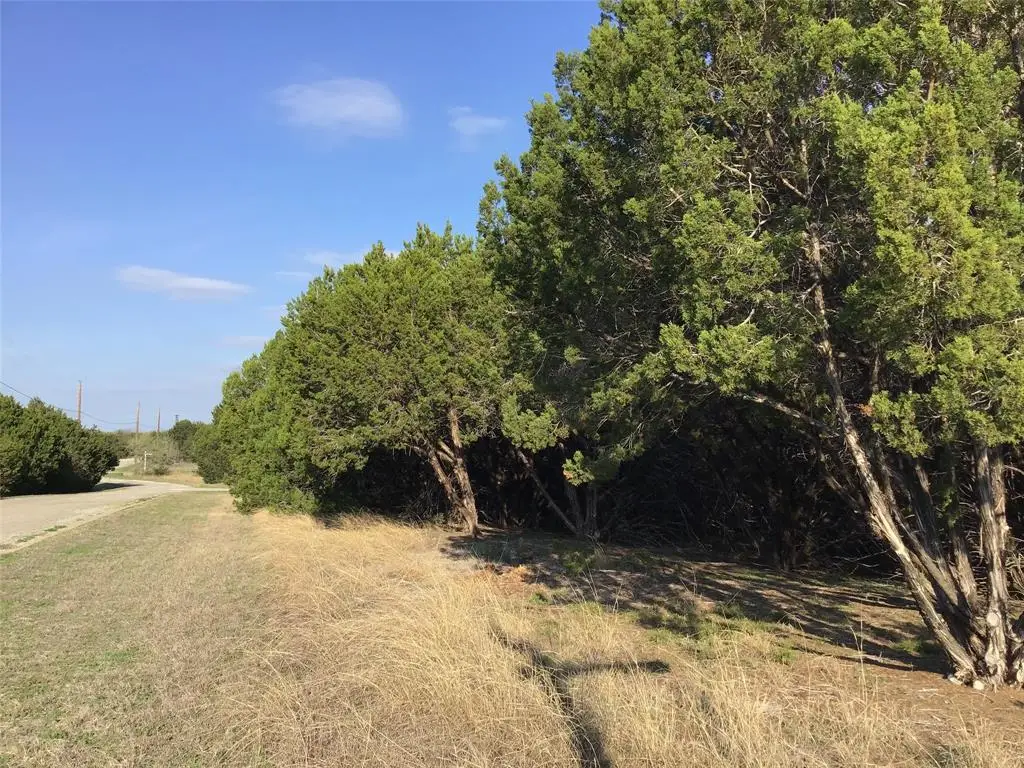 29084 Cedar Hill Dr & Timberwood Drive, Whitney, TX 76692 - #1