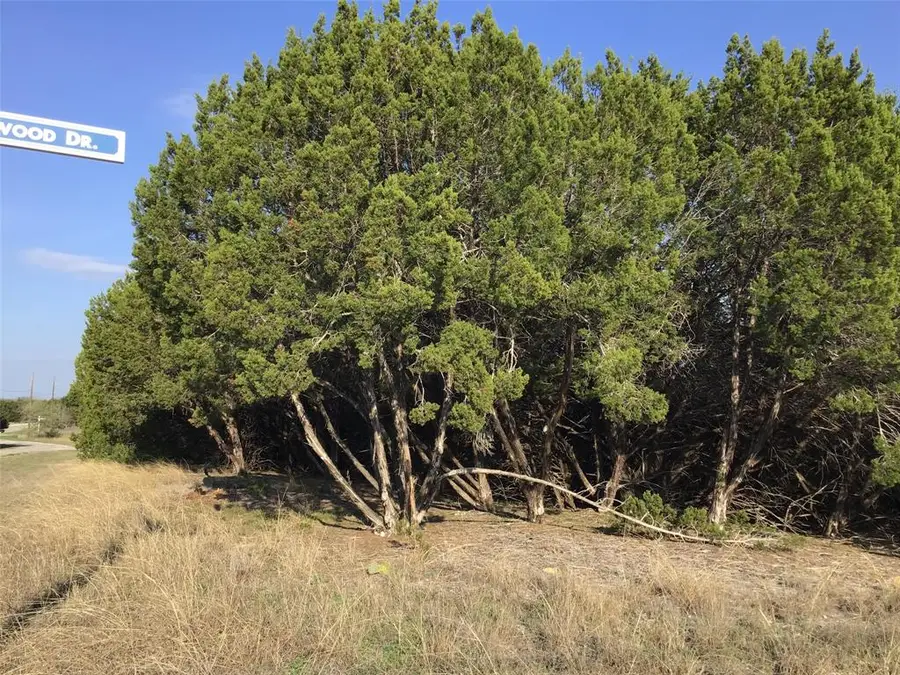 29084 Cedar Hill Dr & Timberwood Drive, Whitney, TX 76692 - #3