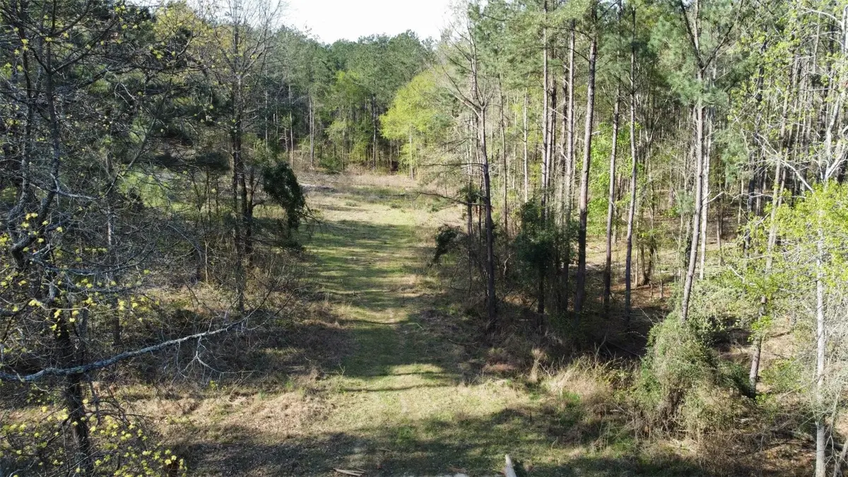 000 County Road 434, Lindale, TX 75771 - #1