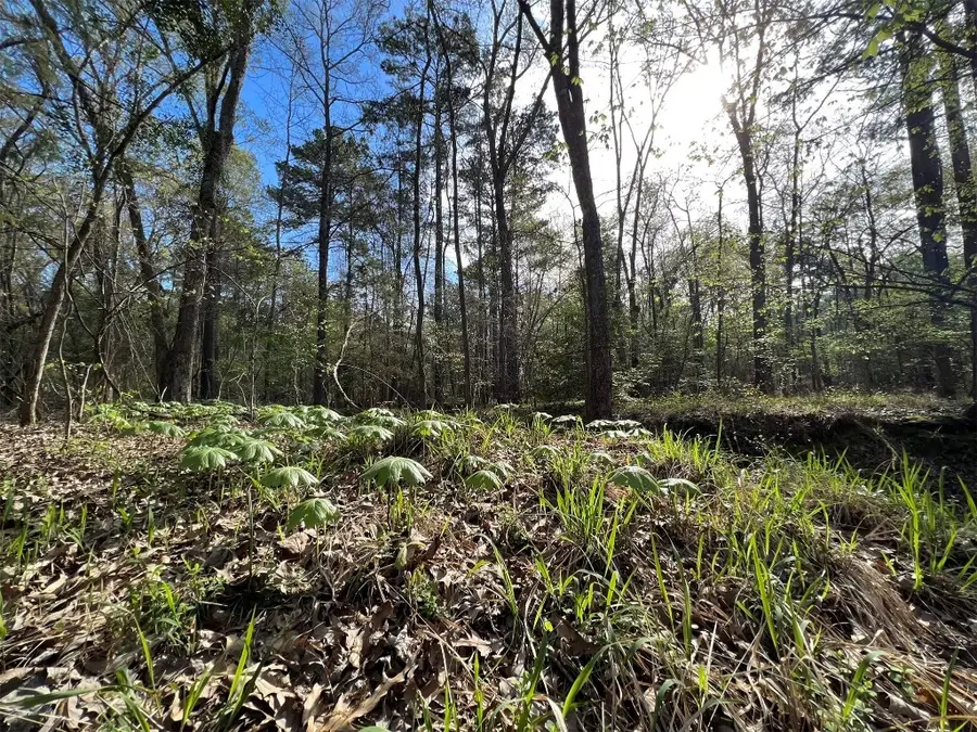 000 County Road 434, Lindale, TX 75771 - #2