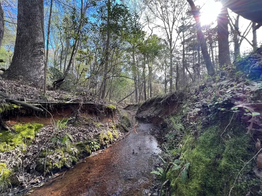 000 County Road 434, Lindale, TX 75771 - #3