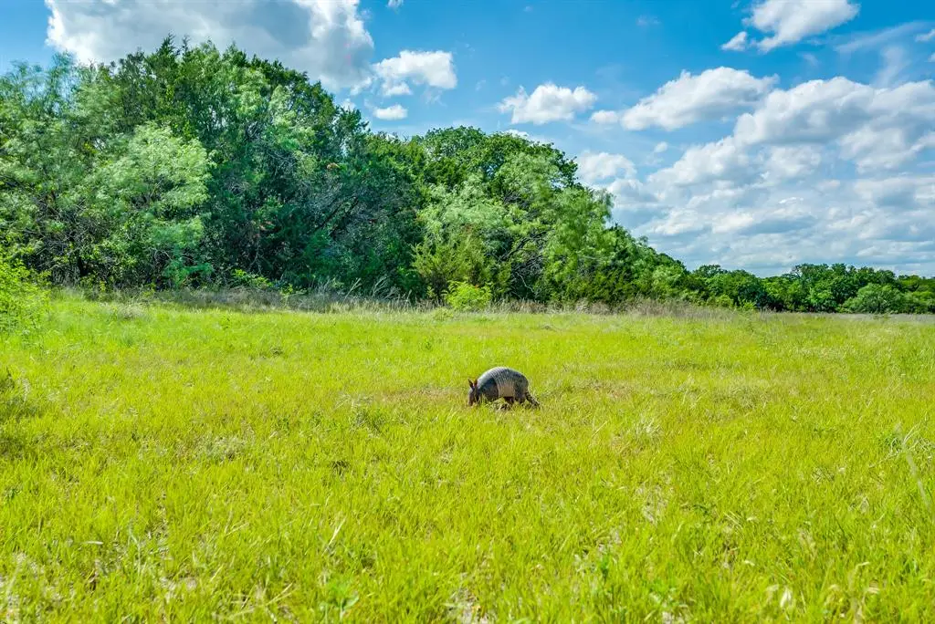 TBD County Road 175, Stephenville, TX 76401 - #1