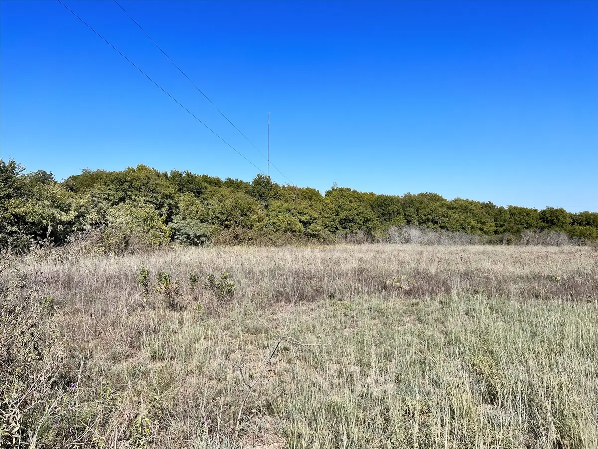 TBD Linda Road, Carls Corner, TX 76670 - Image #1