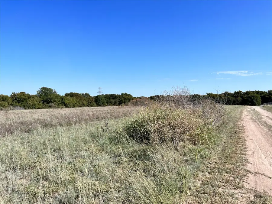 TBD Linda Road, Carls Corner, TX 76670 - Image #3