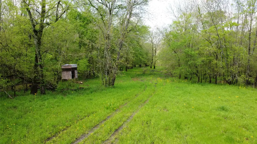 0 Fm 71, Talco, TX 75487 - Image #2