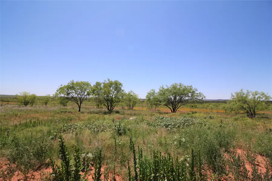 Lot 5 Marshal Trail, Tuscola, TX 79562 - Image #3