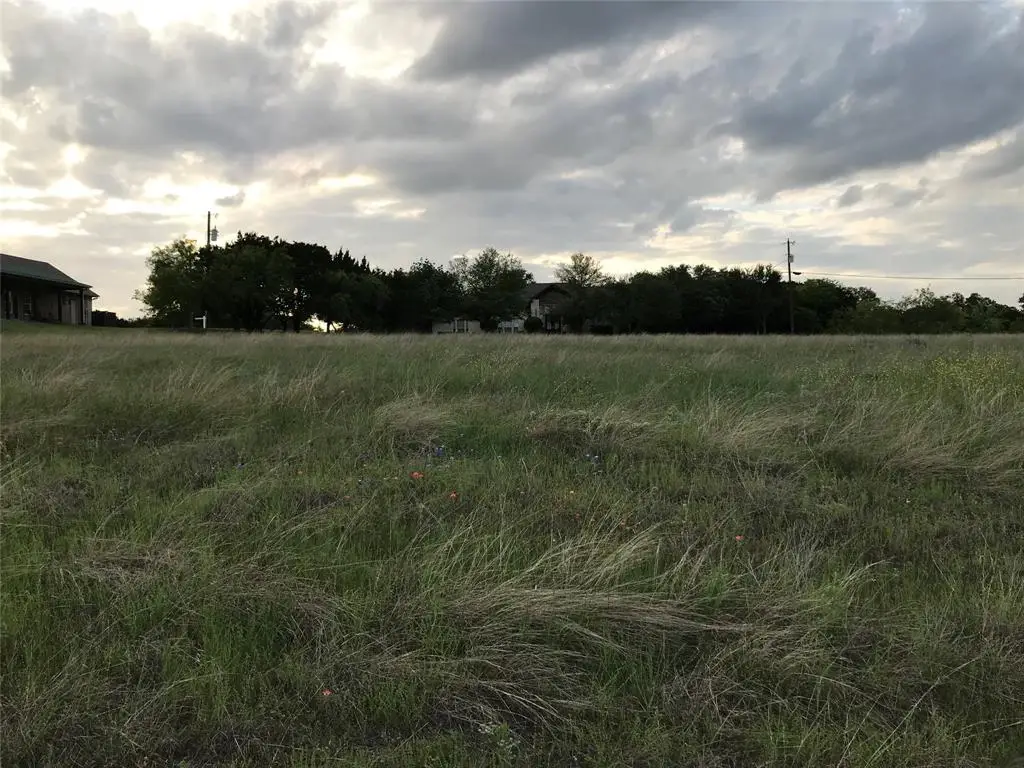 19093 White Bluff Drive, Whitney, TX 76692 - #1