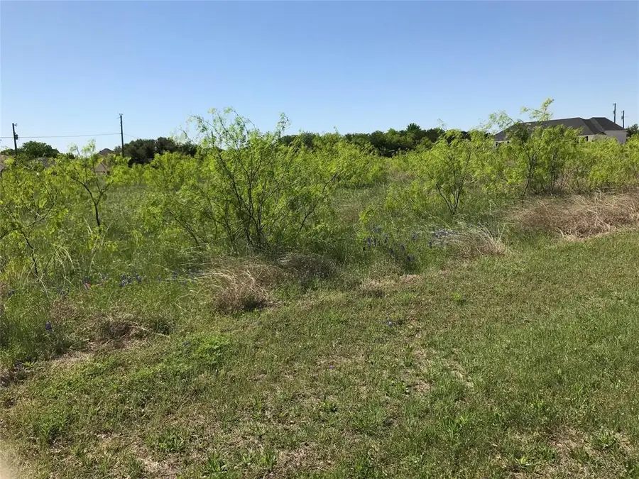 7138 Sandy Oaks Drive, Whitney, TX 76692 - #2