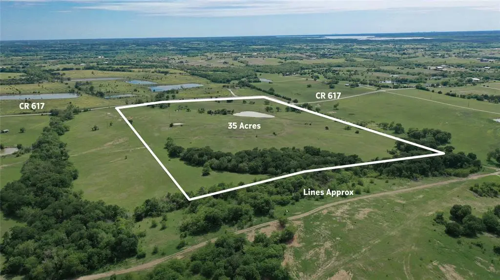 35 Acres County Road 617, Farmersville, TX 75442 - Image #1