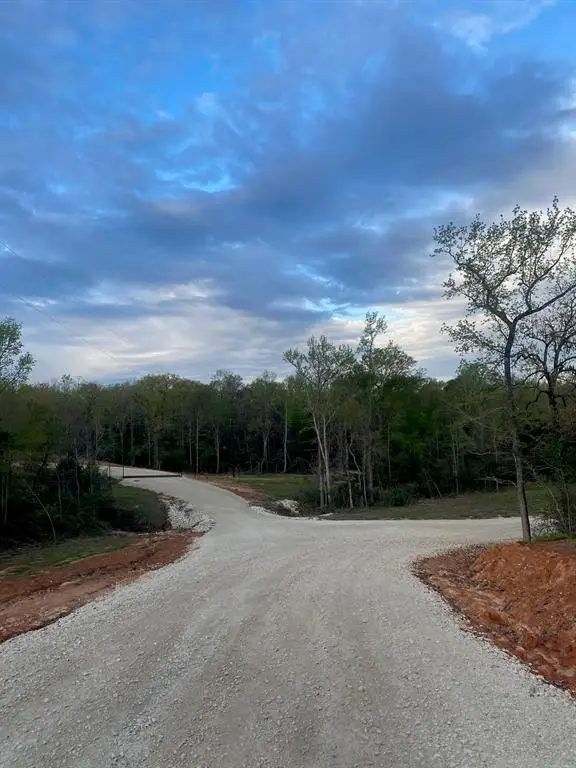 TBD 16 Fm 1848, Buffalo, TX 75831 - Image #3