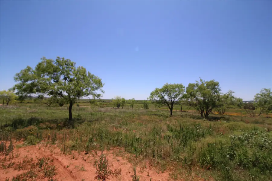 Lot 7 Marshal Trail, Tuscola, TX 79562 - Image #2