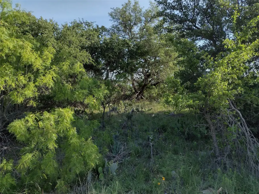 lots 53-54 Janda Lane, Brownwood, TX 76801 - #3