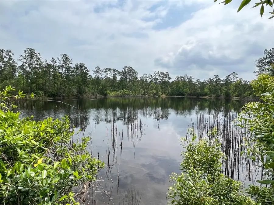 00 Fm 2937/old Arco Road, Silsbee, TX 77656 - Image #2