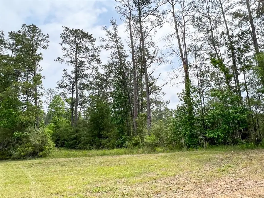 00 Fm 2937/old Arco Road, Silsbee, TX 77656 - Image #3